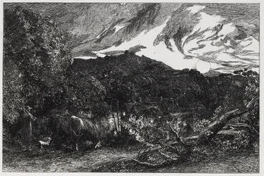 Der müde Pflüger, 1858